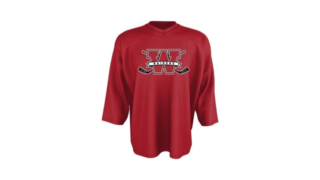 Detroit Red Wings Center Ice Youth Ultimate TNT Tee - 655420447036